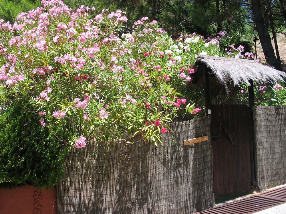 Ddg Retreat Hotel Casares Bagian luar foto