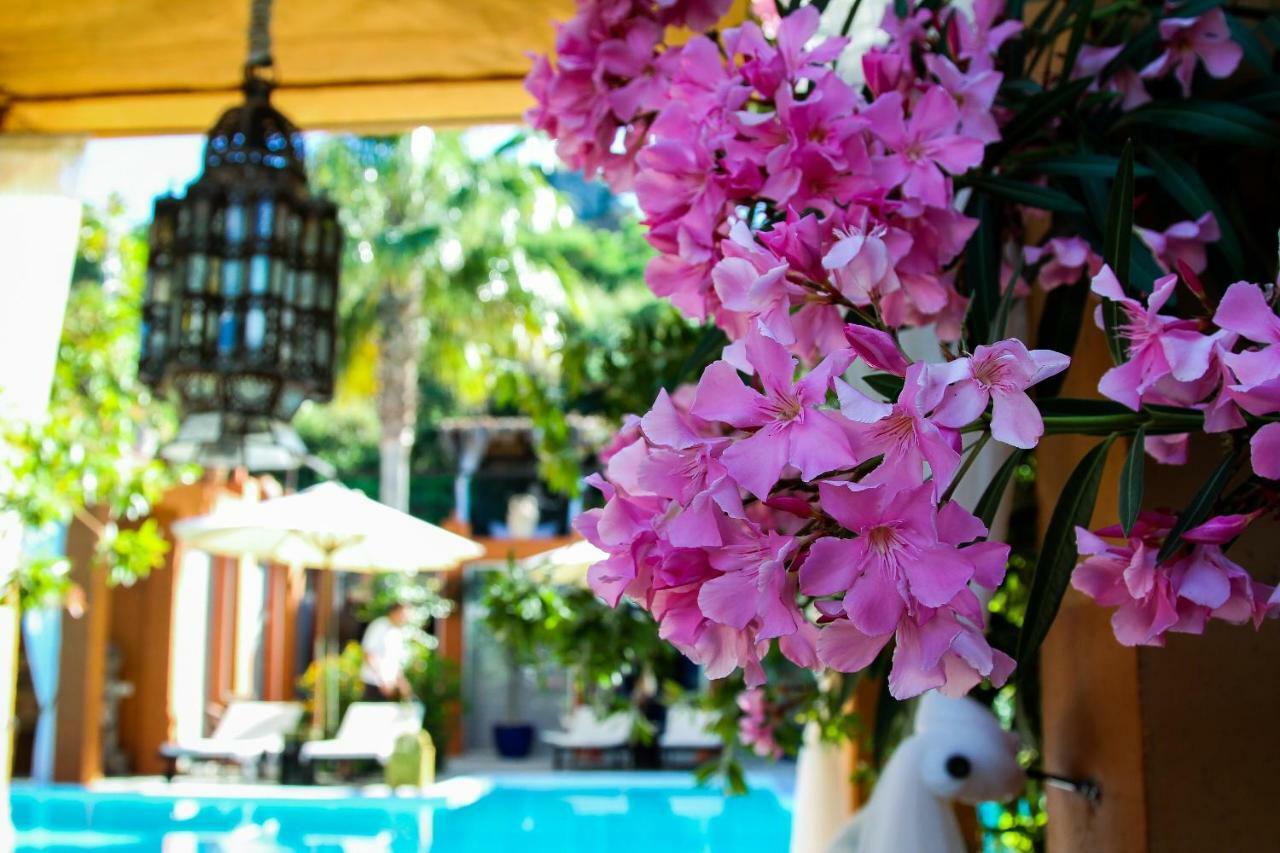 Ddg Retreat Hotel Casares Bagian luar foto